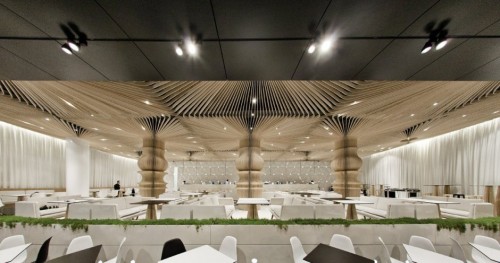 [Image: 533869.jpeg]