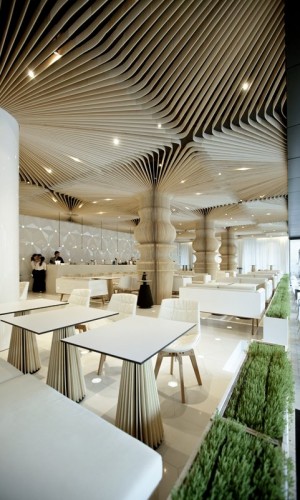 [Image: 533871.jpeg]