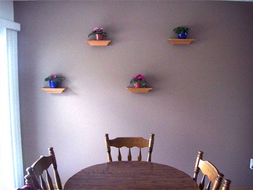 6. Chậu cây trên tường 1