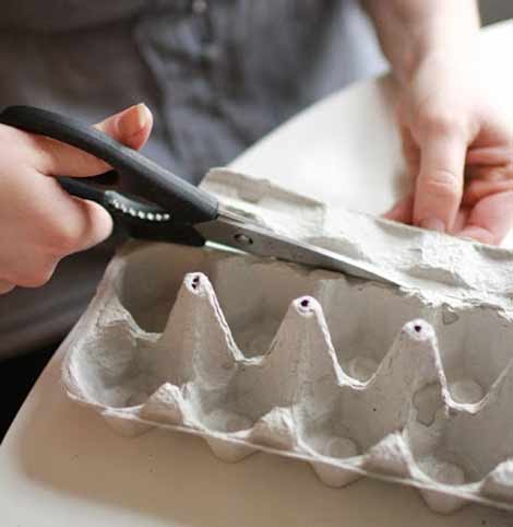 Cùng thực hiện các bước dưới đây: 5 Trồng cây trong vỏ trứng - Archi