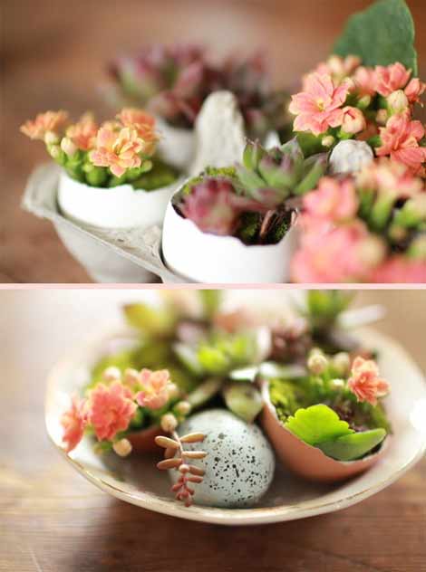 Cùng thực hiện các bước dưới đây: 8 Trồng cây trong vỏ trứng - Archi