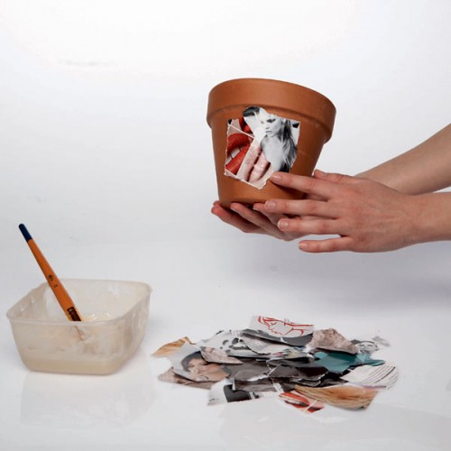 Nhà đẹp với chậu cây dễ thương bằng giấy báo - Trangkim