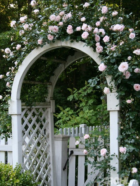 cổng sân vườn đẹp