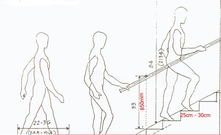 Chiều cao và độ rộng của bậc thang được tính toán phù hợp với bước chân người trưởng thành