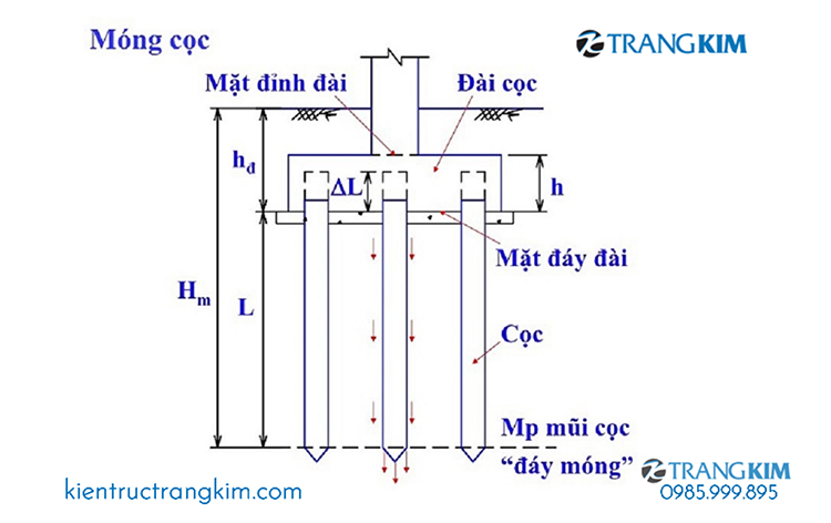 Cấu tạo của móng cọc 1