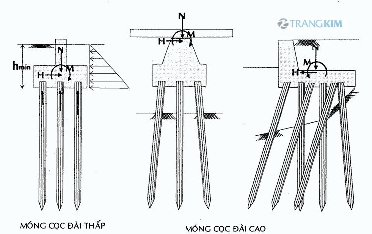 Theo cấu tạo 1