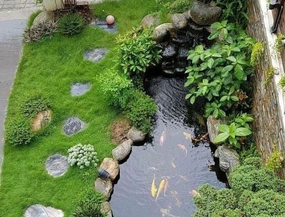 Khu vườn nhỏ với ao cá koi và cảnh quan xanh mát.