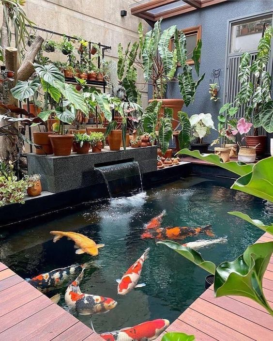 Lợi ích của biệt thẹ có hồ cá Koi