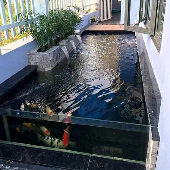 Quy trình thi công hồ cá 1