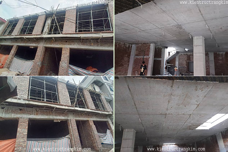 Lĩnh vực hoạt động 6