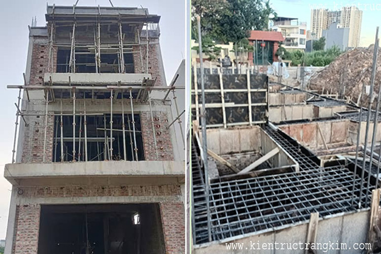 Lĩnh vực hoạt động 4