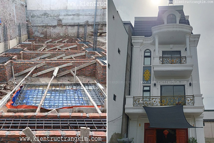 Lĩnh vực hoạt động 11