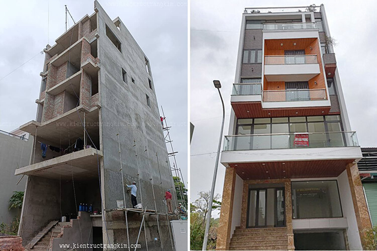 Lĩnh vực hoạt động 17