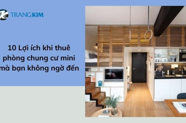 Nội thất phòng chung cư mini hiện đại, tối ưu hóa không gian.