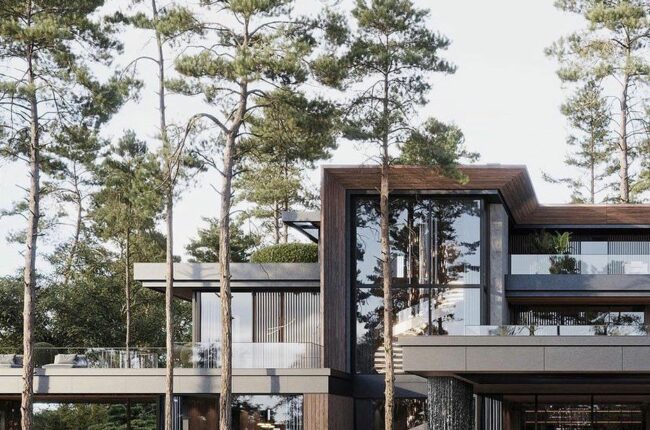 Biệt thự 2 tầng mái bằng phong cách tối giản 1